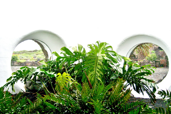 2015-02 lanzarote 51.jpg